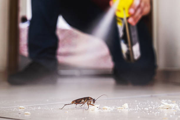 Best Mosquito Control Services  in Hanover Park, IL